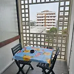 Celeste 512 *